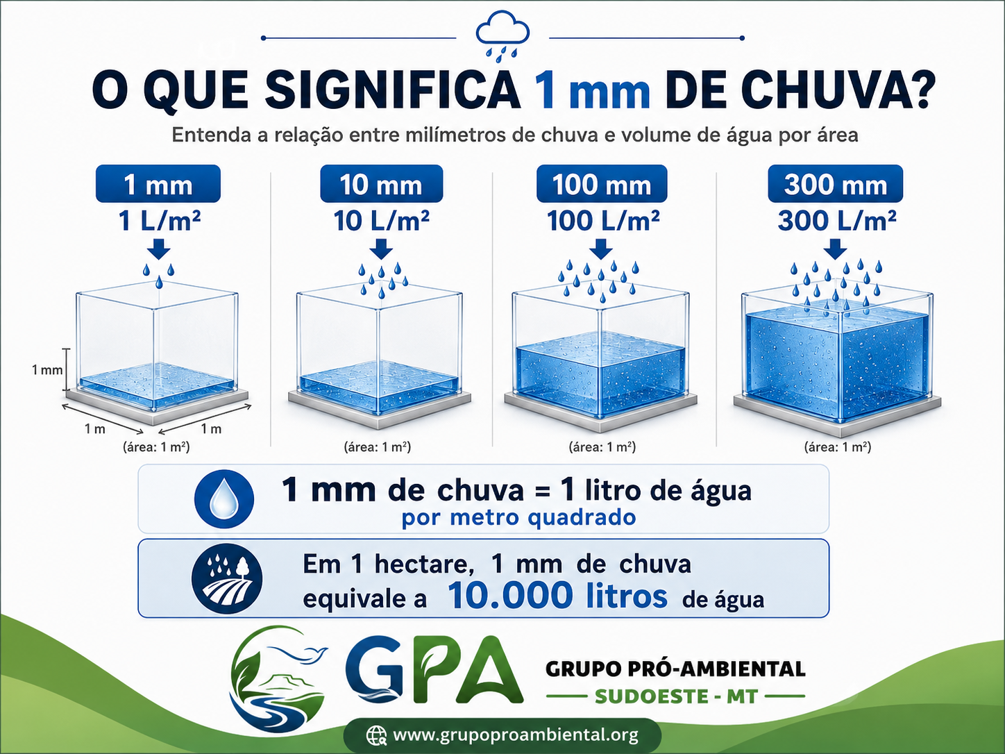 Muda cultivada em atividade prática de educação ambiental